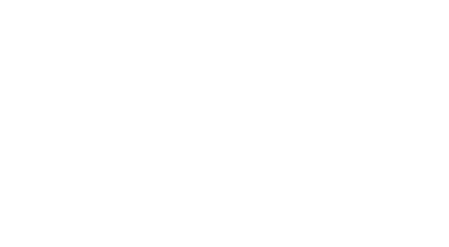 Logo Alma